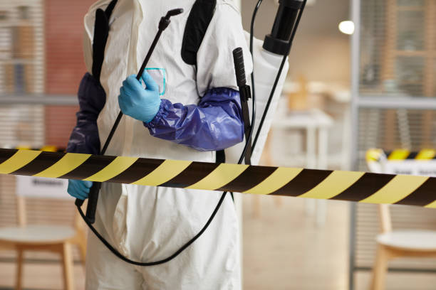 Professional Biohazard Cleanup technician working in Angelus Oaks, CA