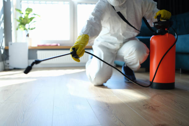 Trusted Trauma Scene Cleanup service in Angelus Oaks, CA - Four Month Blood Cleanse